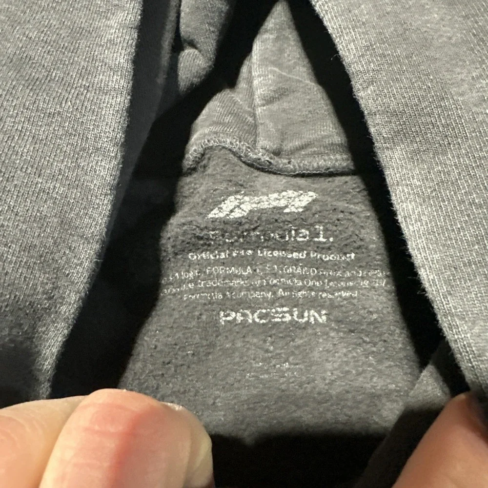 Formula 1 Hoodie Men's SZ L Black Pacsun Pockets Racecar F1 Thick Heavy Racing - Picture 4 of 11